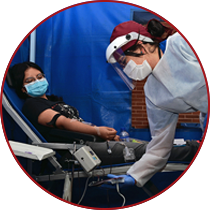 Medicina Transfusional